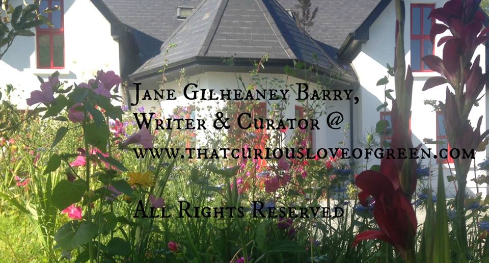 Our house in flowers - Jane Gilheaney Barry - That Curious Love of Green